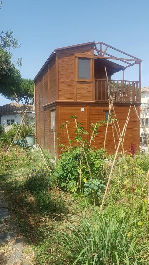 Casa De Madera De Sancti Petri Villa Chiclana de la Frontera Kültér fotó